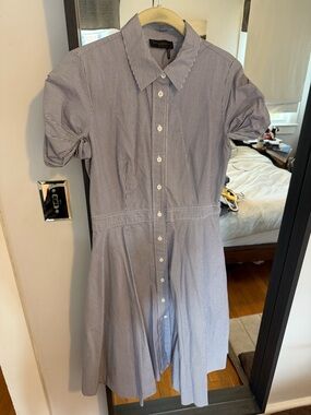 Donna Karan Blue and White Pinstripe Midi Shirt Dress (size 6)